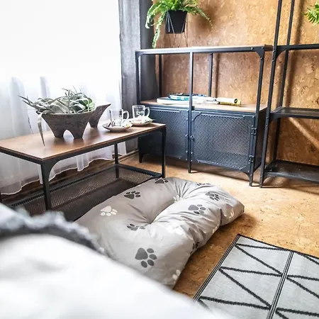 Hotel 4 Evszak Voelgyhotel Mátrafüred